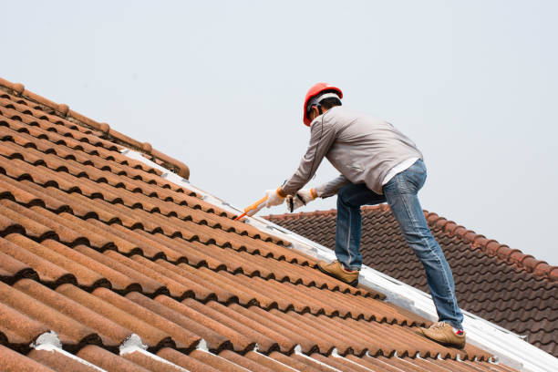 Best Cold Roofs  in Jefferson, IA